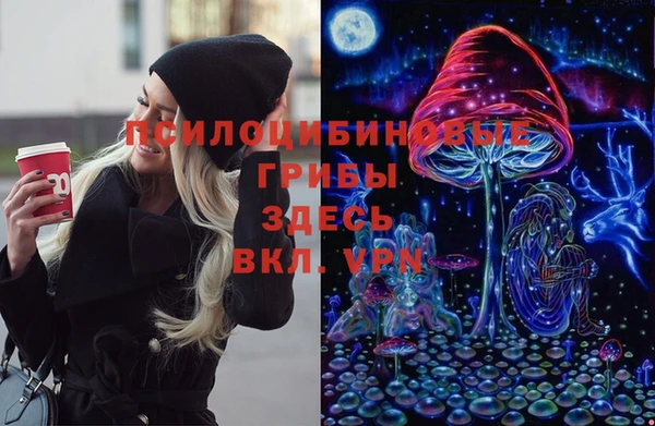 первитин Белокуриха