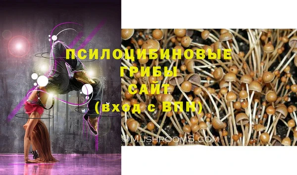 дживик Беломорск