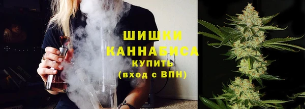 ПСИЛОЦИБИНОВЫЕ ГРИБЫ Белоозёрский