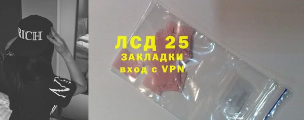 ПСИЛОЦИБИНОВЫЕ ГРИБЫ Белоозёрский